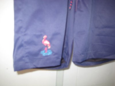画像3: GLAMB//Flamingo Swim Shorts☆MULTI